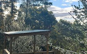 Sutton Spring Art Retreats